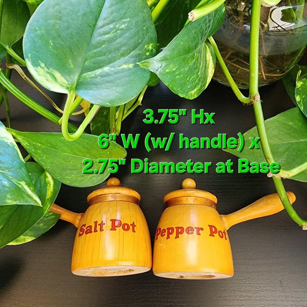 Vintage Salt Pot & Pepper Pot Handled Copper Accent MCM Wood Shakers
